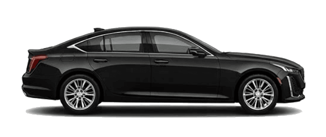 Executive Sedan